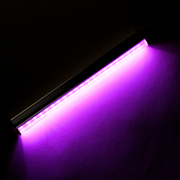 Фитосветильник светодиодный Luazon, 6 Вт, 300 мм, IP20, 220 В, мультиспектральный - фото 1907026276
