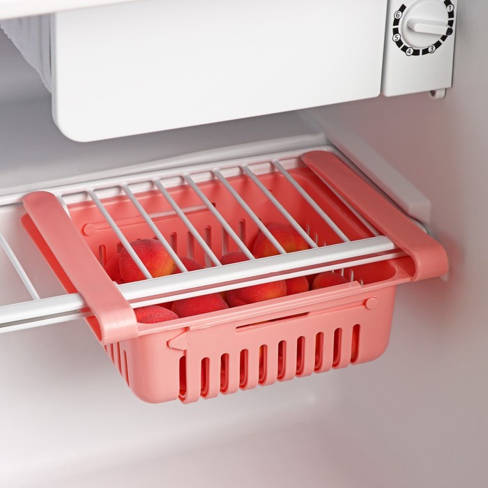 Полка подвесная в холодильник раздвижная Доляна, 20(28)×16.2×7.5 см, МИКС - Фото 1