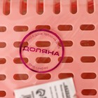 Полка подвесная в холодильник раздвижная Доляна, 20(28)×16.2×7.5 см, МИКС - Фото 11