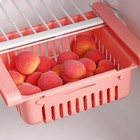 Полка подвесная в холодильник раздвижная Доляна, 20(28)×16.2×7.5 см, МИКС - Фото 7