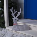 Светодиодная фигура «Олень благородный» 55×55×21 см, акрил, 96 LED, 8 режимов, 24 В, свечение белое - Фото 2