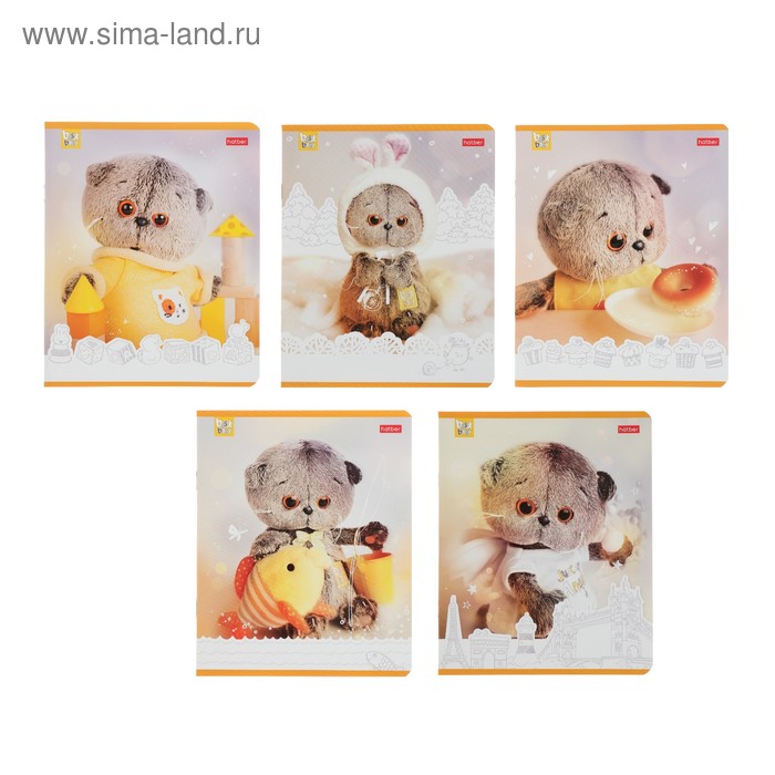 Тетрадь 18 листов, в линейку, "Кот Басик", обложка мелованный картон, блок офсет, МИКС - Фото 1