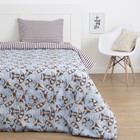 Постельное бельё Этель «Еноты» 145×210 см, 150×210 см, 50×70 см - 1 шт, 125 г/м², бязь, хлопок 100% - Фото 1
