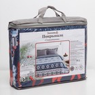 Покрывало Экономь и Я «Новогодний олень» 2 сп. 180×210 ± 5 см, микрофайбер, 75 г/м² - Фото 5