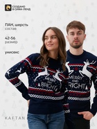 Свитер вязаный новогодний KAFTAN Family look, размер 50, синий - Фото 1