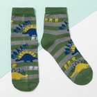 Носки Collorista "Динозавры. Полоса" 14-16 см, 2-3 года, 80% хл.,17% п/а, 3% эл. - Фото 1