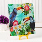 Алмазная вышивка с частичным заполнением «Туканы», с подставкой, размер картины: 21×25 см - Фото 2