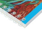 Альбом для рисования А5, 40 листов на гребне «Классика», мелованный картон, глянцевая ламинация, блок 100 г/м2, микс из 2-х видов - Фото 2