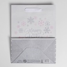 Пакет подарочный новогодний крафтовый Happy new year!, MS 18×23×10 см 4275620