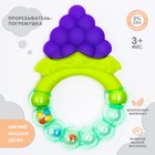 Прорезыватель силиконовый «Виноградик», с погремушкой, Крошка Я - Фото 6
