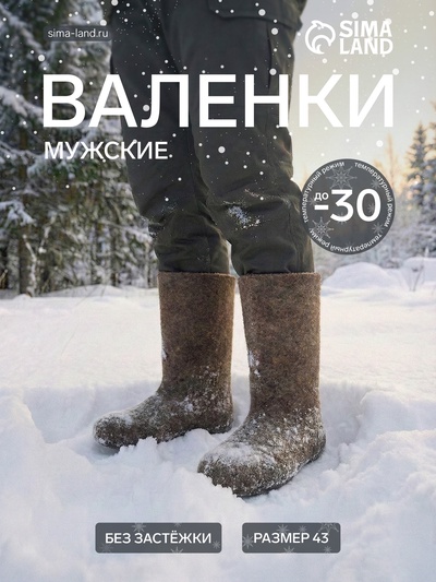 Валенки мужские, цвет натуральный, размер 43 (31)