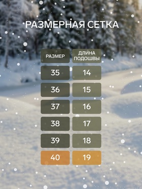 Валенки женские, цвет натуральный, размер 40 (28)
