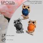 Брошь «Филин» мини, МИКС - Фото 9