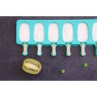 Форма для мороженого Доляна «Эскимо», силикон, 42×12 см, 8 ячеек (6,8×3,8 см), цвет МИКС - Фото 16