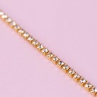 Цепь со стразами, металл, стекло, 2.5 мм, 9±1 м, цвет золотой - Фото 2