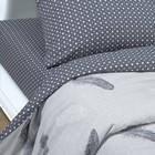 Постельное бельё 1,5сп Артпостель «Феникс» 145х215, 150х215, 70х70см - 2 шт - Фото 2