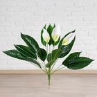 Дерево искусственное «Спатифилум», h=70 см - Фото 3