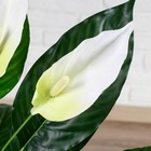 Дерево искусственное «Спатифилум», h=70 см - Фото 4