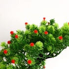 Бонсай искусственный в горшке «Деревце изгиб», 17×12 см, МИКС - Фото 3