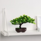 Бонсай искусственный в горшке «Деревце изгиб», 17×12 см, МИКС - Фото 5