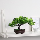 Бонсай искусственный в горшке «Деревце изгиб», 17×12 см, МИКС - Фото 6