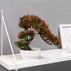 Бонсай в горшке «Деревце остролист», 10×22 см, МИКС - Фото 5