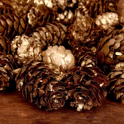 Набор новогоднего декора «Шишки»