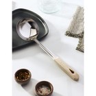 Половник из нержавеющей стали Доляна «Соната», 150 мл, 34 см - Фото 1