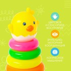 Пирамидка «Цыплёнок», 8 колец - фото 24407862