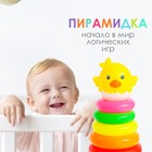 Пирамидка «Цыплёнок», 8 колец - фото 24407863