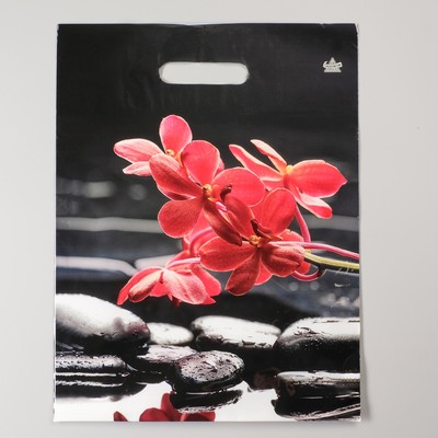 Пакет «Гармония», полиэтиленовый с вырубной ручкой, 60 мкм, 40×31 см