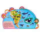 Книга с мягкими пазлами EVA «Атлас животных», 12 стр. - Фото 5