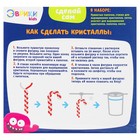 Набор для выращивания кристаллов «Леденец» - фото 6161361