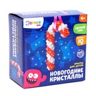 Набор для выращивания кристаллов «Леденец» - фото 6161362