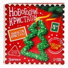 Выращивания кристаллов «Новогодняя елка» 4155693 - фото 2102169