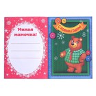 Книга с наклейками «Новогодние открытки для всей семьи», 12 стр. - Фото 2