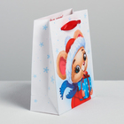 Пакет ламинированный вертикальный «Мышка с подарком», S 12 × 15 × 5.5 см - Фото 2