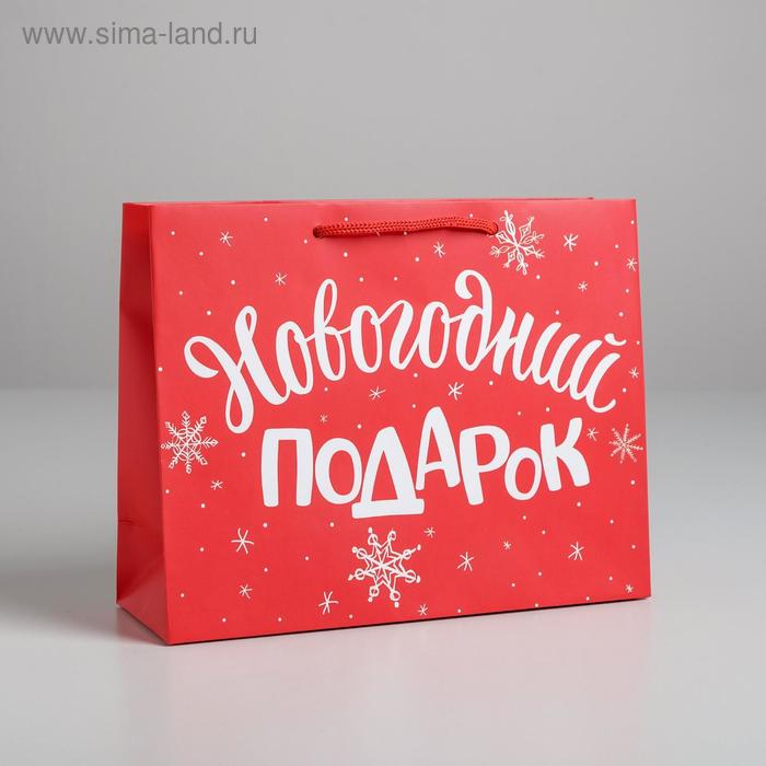 Пакет ламинированный горизонтальный «Новогодний подарок», MS 23 × 18 × 8 см - Фото 1