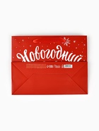 Пакет подарочный ламинированный «Новогодний подарок», MS 23×18×10 см - Фото 6