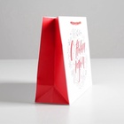 Пакет ламинированный «С Новым годом!», MS 23 х 18 х 8 см 4262361