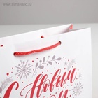 Пакет ламинированный «С Новым годом!», MS 23 х 18 х 8 см 4262361