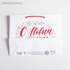 Пакет ламинированный «С Новым годом!», MS 23 х 18 х 8 см 4262361