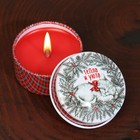 Новогодняя свеча в железной банке «Тепла и уюта», аромат вишня, диам. 4,8 см - фото 8863813