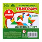 Головоломка «Танграм», животные мира - Фото 5