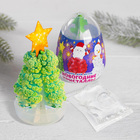 Набор для опытов «Новогодние кристаллы», цвета МИКС - фото 8863938