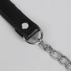 Ручка для сумки, с цепочками и карабинами, 120 × 1,8 см, цвет чёрный - фото 8485867