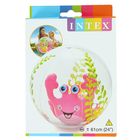 Мяч пляжный "Аквариум" 61 см, от 3 лет, микс - Фото 2