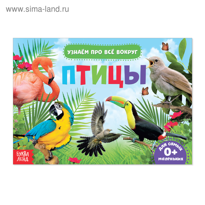 Обучающая книжка «Птицы», 18 птиц - Фото 1