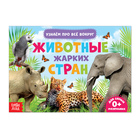 Обучающая книжка «Животные жарких стран», 18 животных - Фото 1