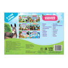 Обучающая книжка «Домашние животные», 18 животных - Фото 3